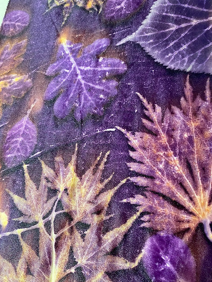 Workshop Botanical Printing with Colors 9-10-11 JUNI 2025 (registration)