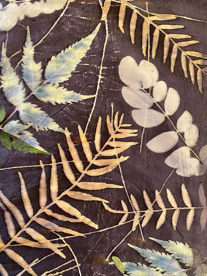 Workshop Botanical Printing with Colors 9-10-11 JUNI 2025 (registration)