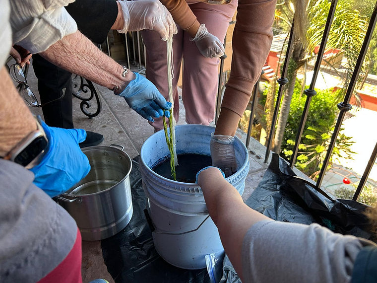 2026 Mexico Retreat - 4 Dyes, 48 Colors - REGISTRATION