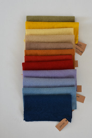 Workshop Natural Dyeing and Mordant Pastes 4-5-6 JUNI 2025 (REGISTRATION)