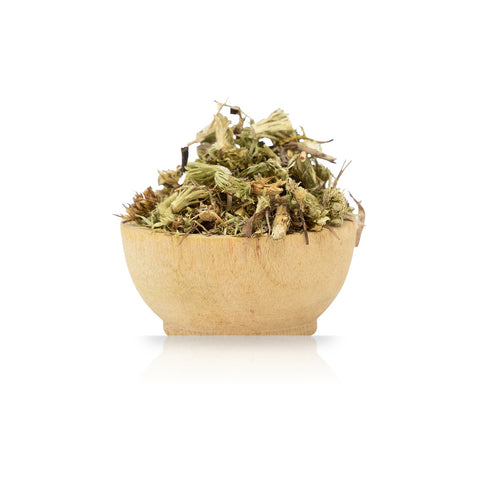 Club Moss (Lycopodium clavatum) organic
