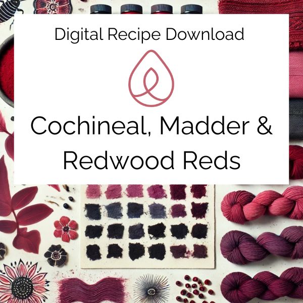 Digital recipe download for cochineal, madder, and redwood reds with yarn samples and color swatches.