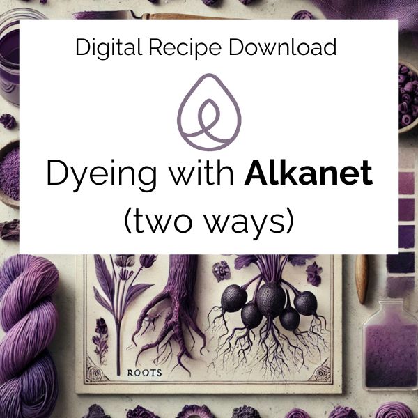 Promotional graphic for 'Dyeing with Alkanet (two ways)' digital recipe download, featuring purple yarn and botanical illustration.
