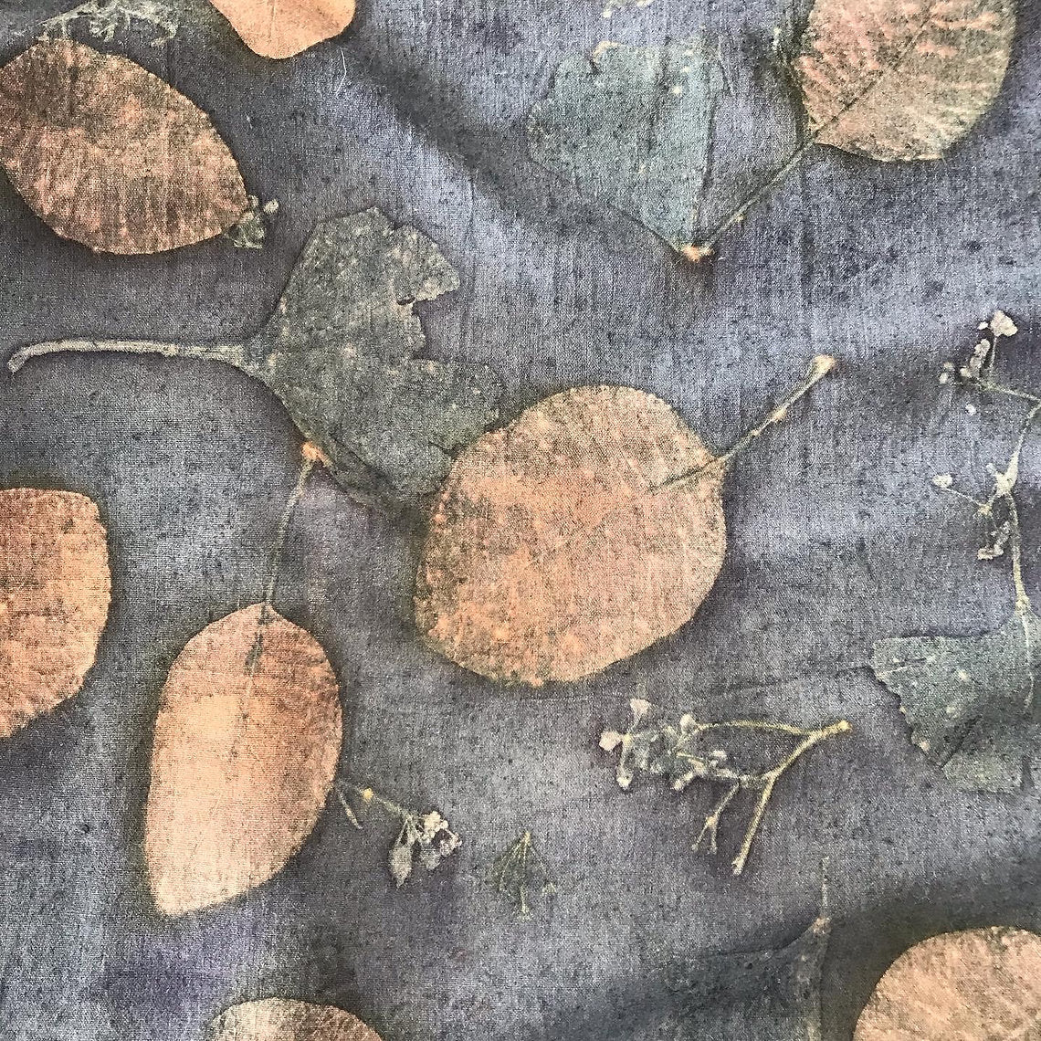 Brown leaves on a textured gray surface