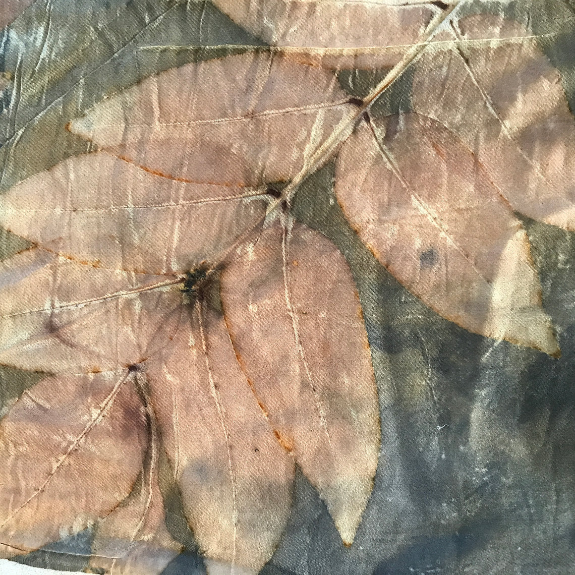 Close-up of dried leaves with a spider on a textured surface