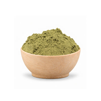 Green Indigo Powder (Indigofera Tinctoria) Organic in a wooden bowl on a white background