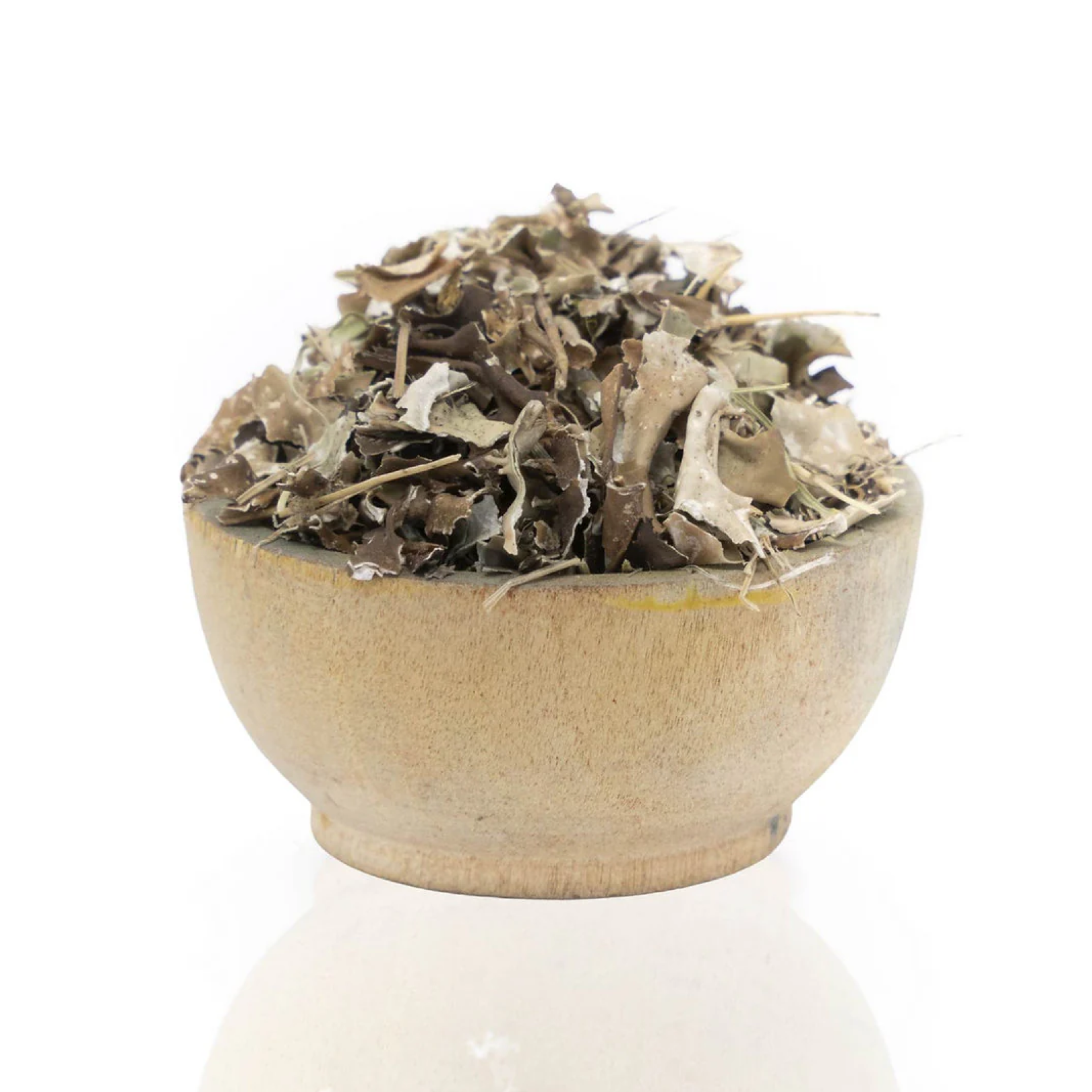 Icelandic Moss Lichen (Cetraria islandica) Organic
in a beige bowl on a white background