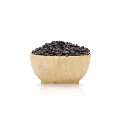 Wooden bowl filled with Murex - Hexaplex Trunculus - glands for Tyrian purple and Tkhelet blue on a white background