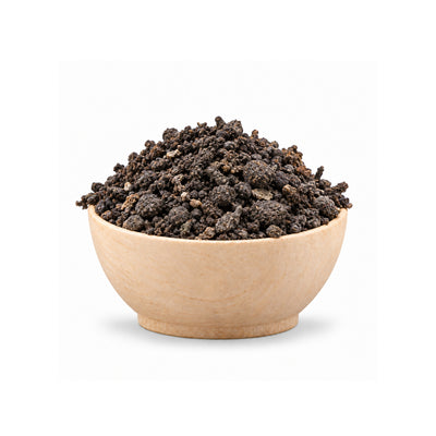 Wooden bowl filled with Murex - Hexaplex Trunculus - glands for Tyrian purple and Tkhelet blue on a white background