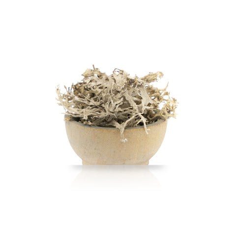 Oak Moss Lichen (Evernia prunastri) Organic