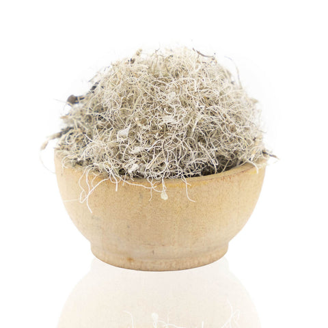 זקן הזקן (Usnea barbata Lichen) אורגני