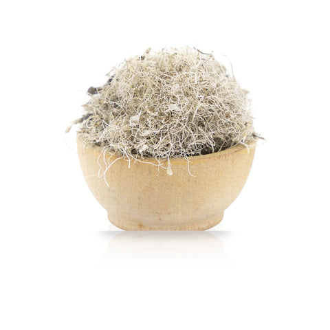 Old Man's Beard (Usnea barbata Lichen) Organic