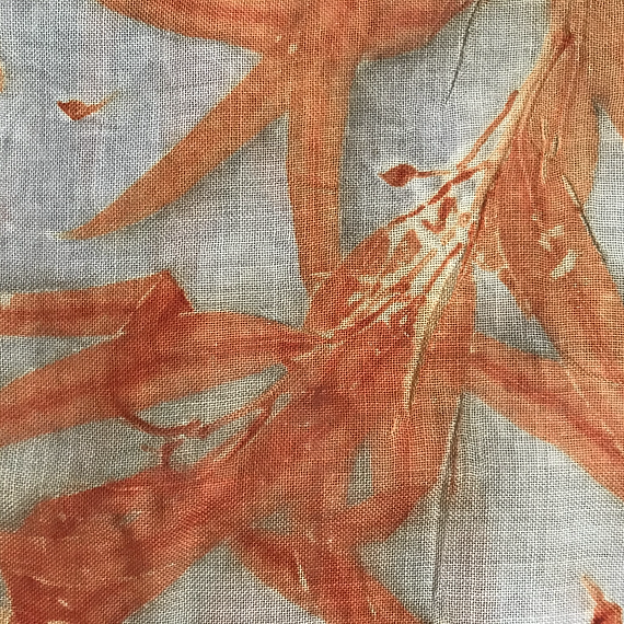 Close-up of fabric with brown floral pattern on a textured gray background