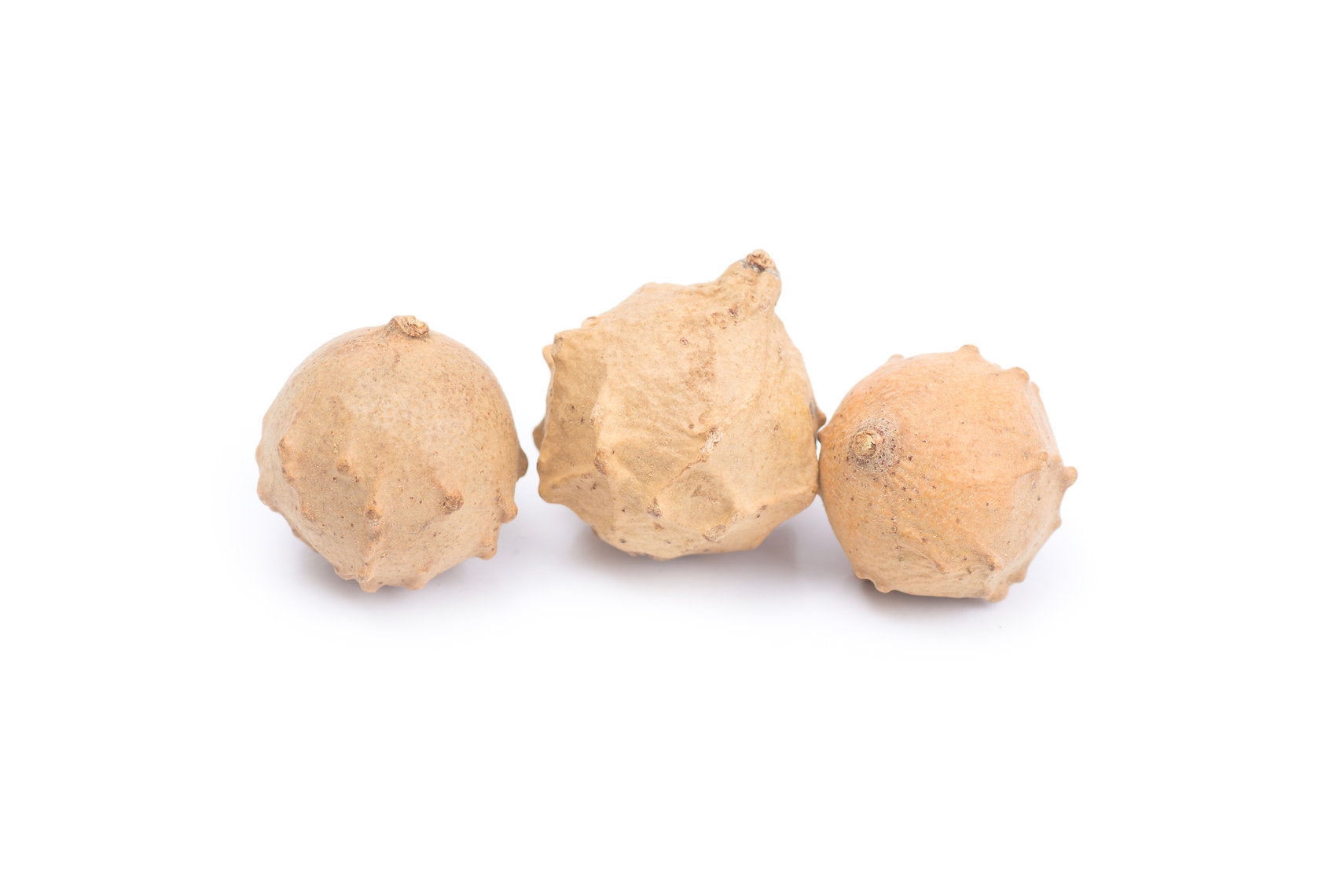 Three pieces of Aleppo Oak Gallnut on a white background
