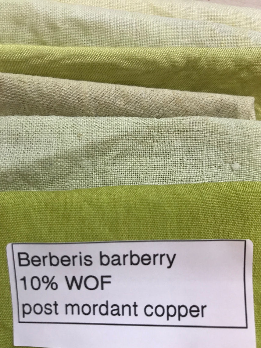 Close-up of green fabric with a label detailing ingredients and treatments.