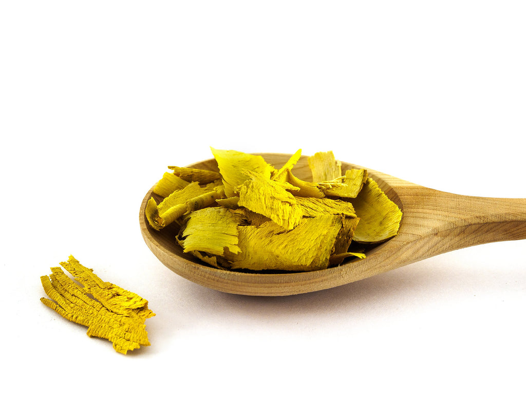 Wooden spoon filled with yellow dried leaves on a white background