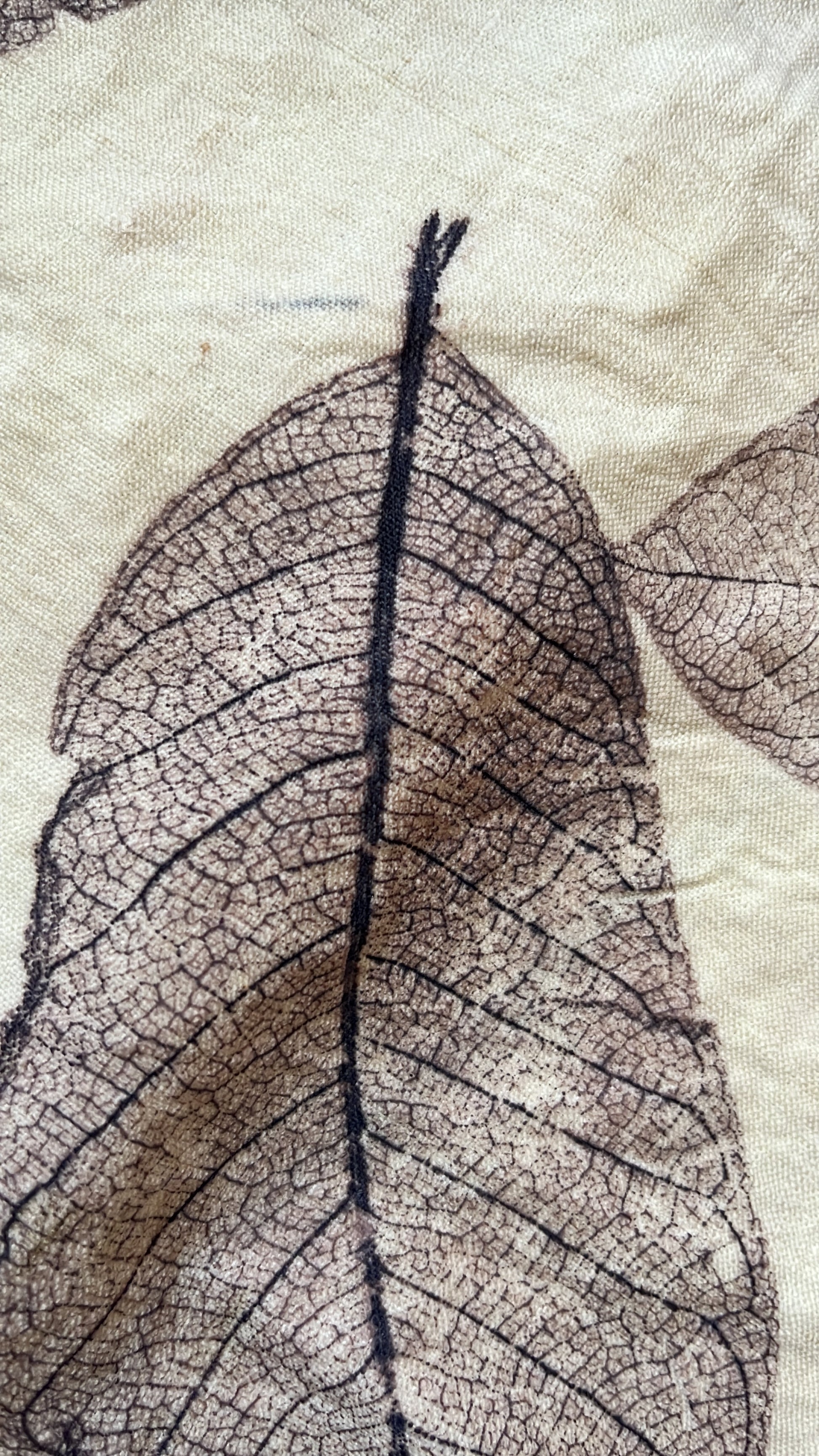 The Detailed Leaf Print: A Botanical Printing and Natural Dye Residency in Rural France