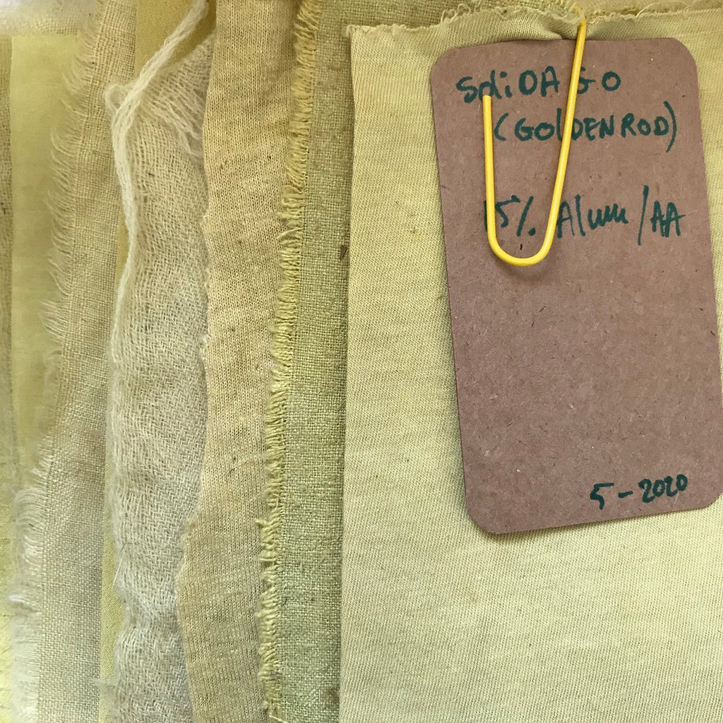 Textile sample dyed Goldenrod Cut Tops (Solidago virgaurea)  with a label indicating color and composition details.