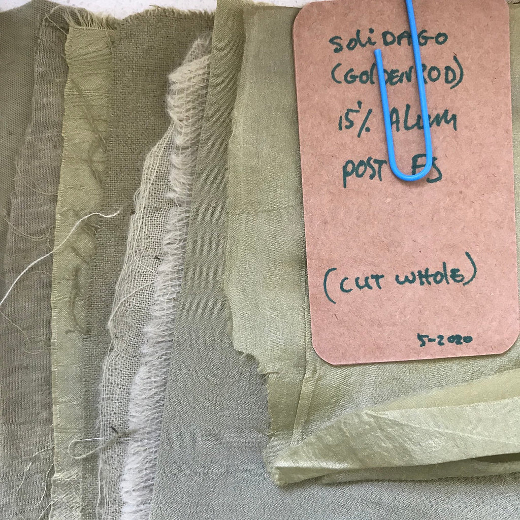Textured fabric swatch dyed Goldenrod Cut Tops (Solidago virgaurea) with a label on a gray background