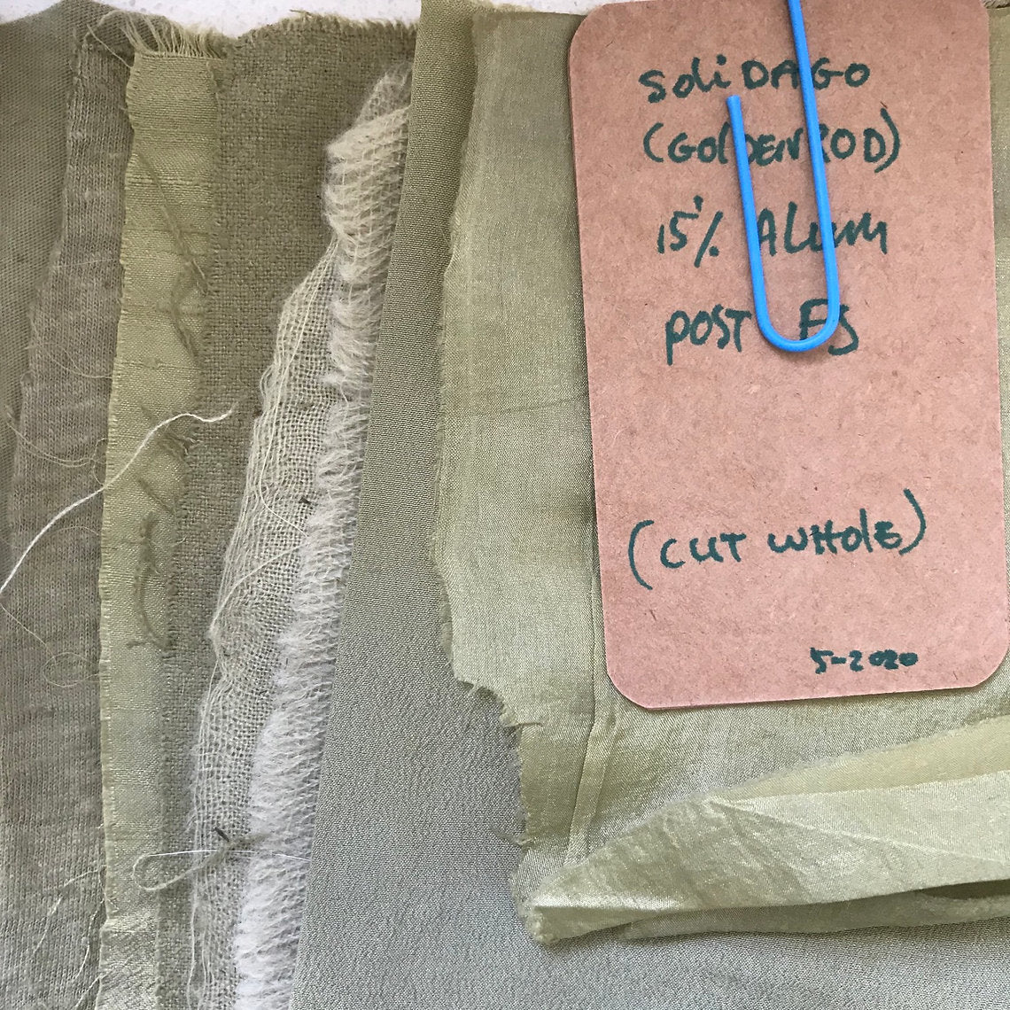 Textured fabric swatch dyed Goldenrod Cut Tops (Solidago virgaurea) with a label on a gray background