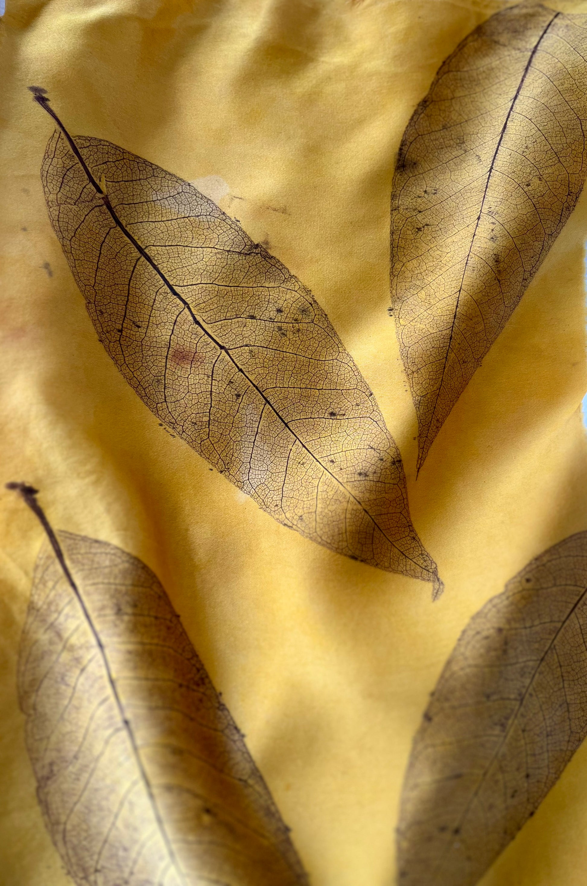 The Detailed Leaf Print: A Botanical Printing and Natural Dye Residency in Rural France