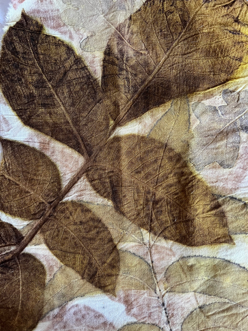 The Detailed Leaf Print: A Botanical Printing and Natural Dye Residency in Rural France