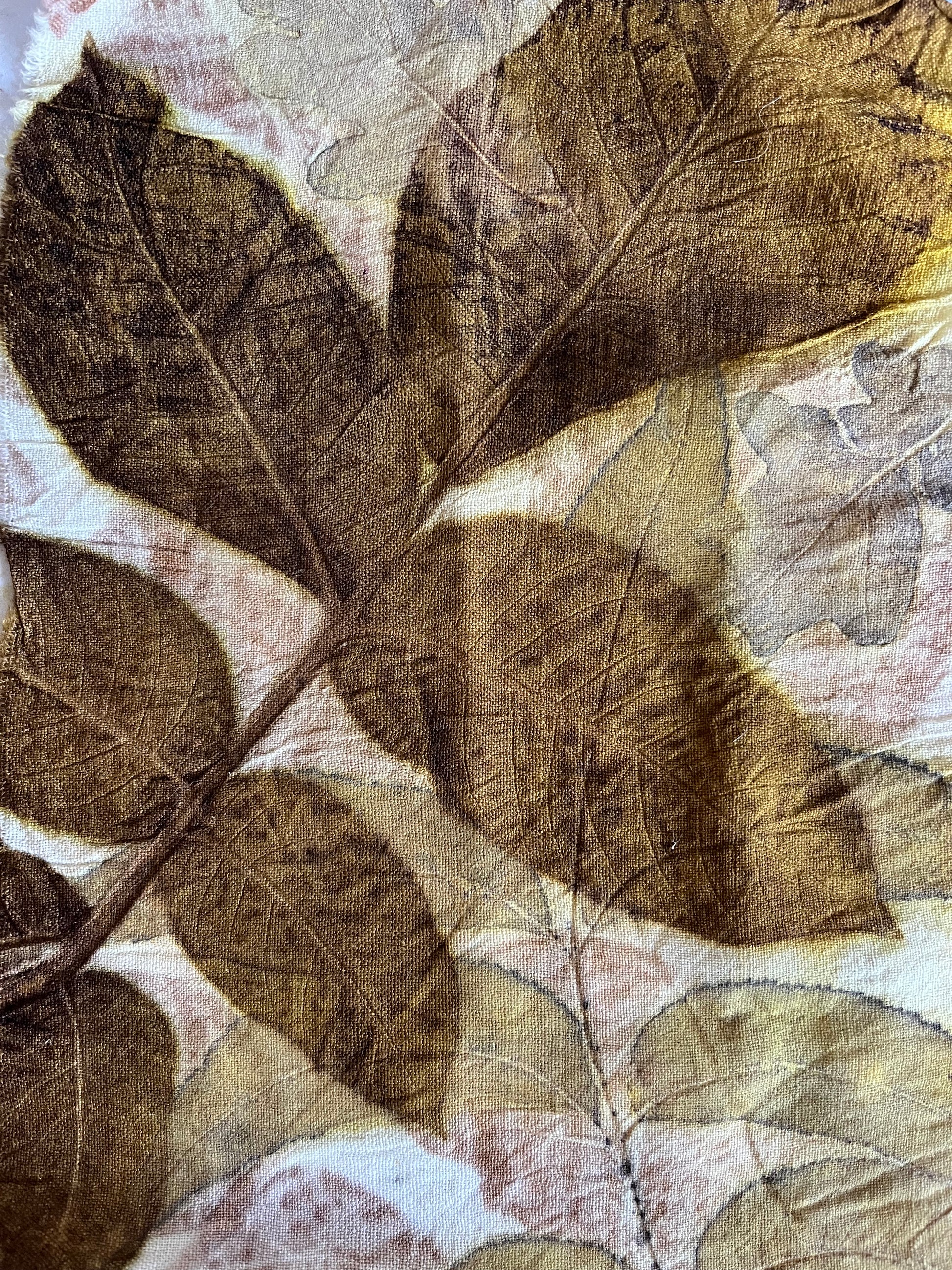 The Detailed Leaf Print: A Botanical Printing and Natural Dye Residency in Rural France