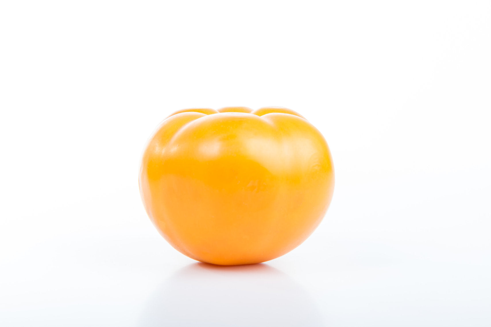 Yellow Kakishibu - unripe persimmon tannin extract - Diospyros kaki on a white background