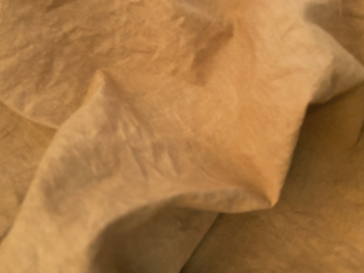 Close-up of beige fabric dyed Kakishibu - unripe persimmon tannin extract - Diospyros kaki