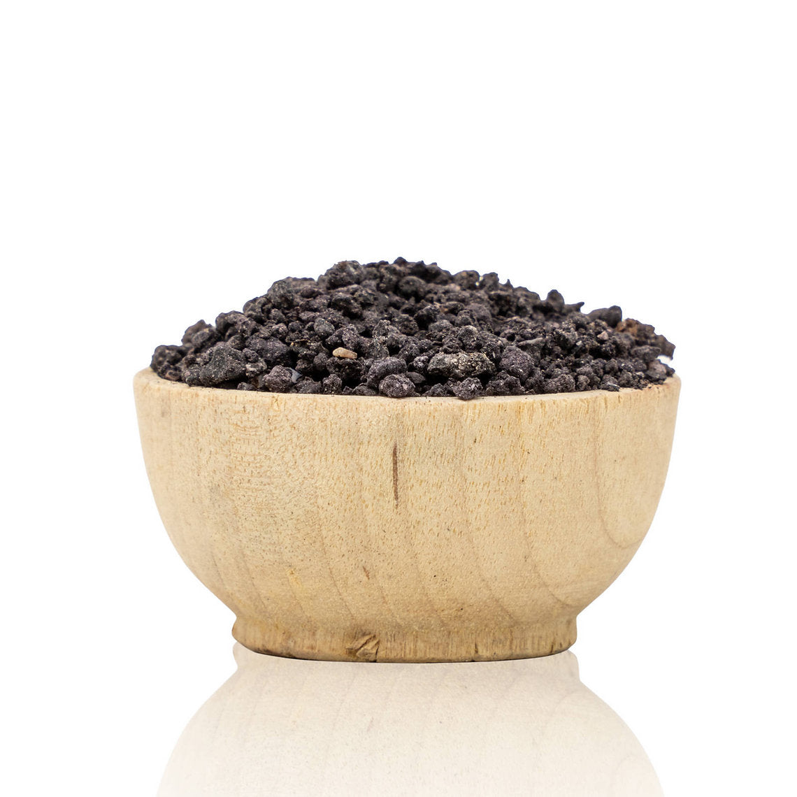 Wooden bowl filled with Murex - Hexaplex Trunculus - glands for Tyrian purple and Tkhelet blue on a white background