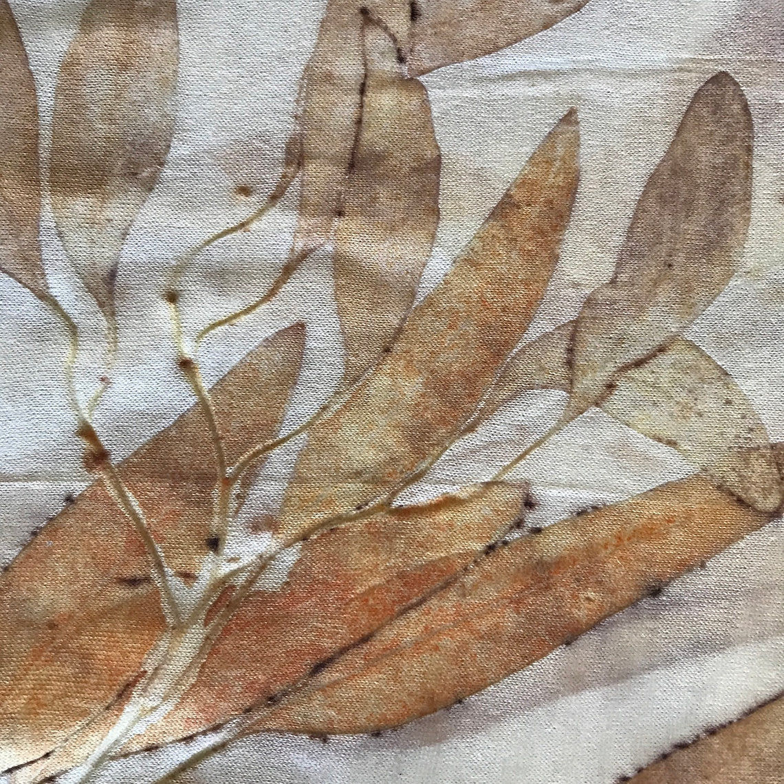 Pressed dried leaves on a textured fabric background