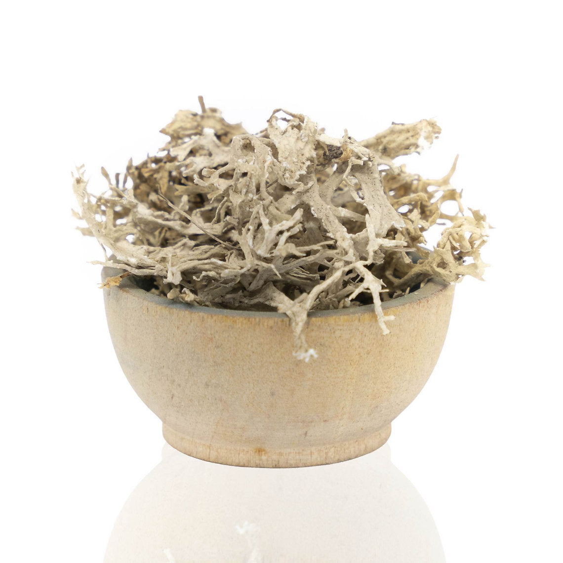 Bowl filled with dried Oak Moss Lichen (Evernia prunastri) on a white background