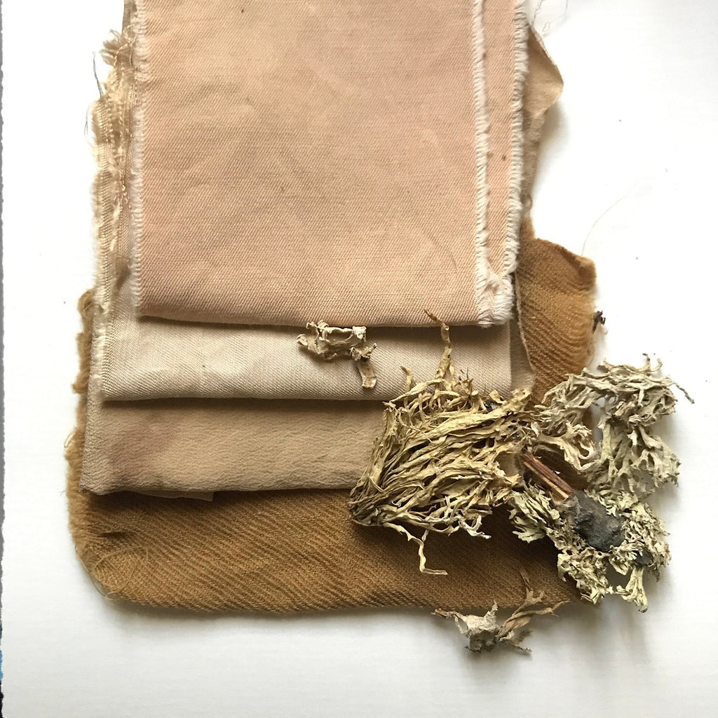 Stack of beige fabric with oak moss on a white background