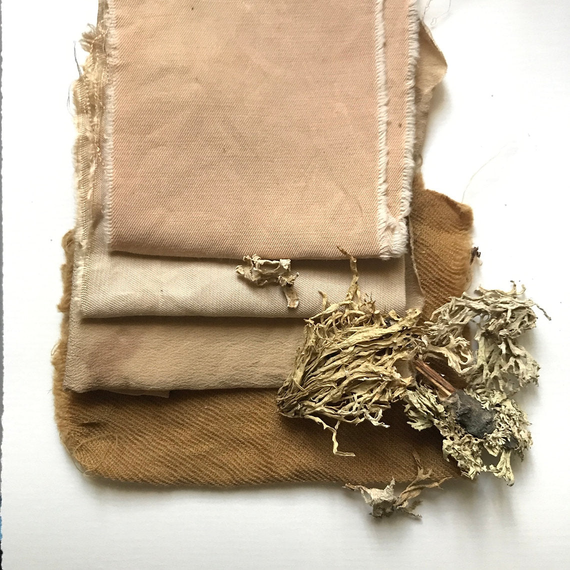 Stack of beige fabric with oak moss on a white background