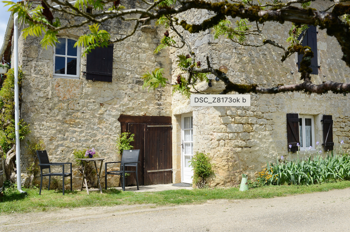 The Detailed Leaf Print: A Botanical Printing and Natural Dye Residency in Rural France