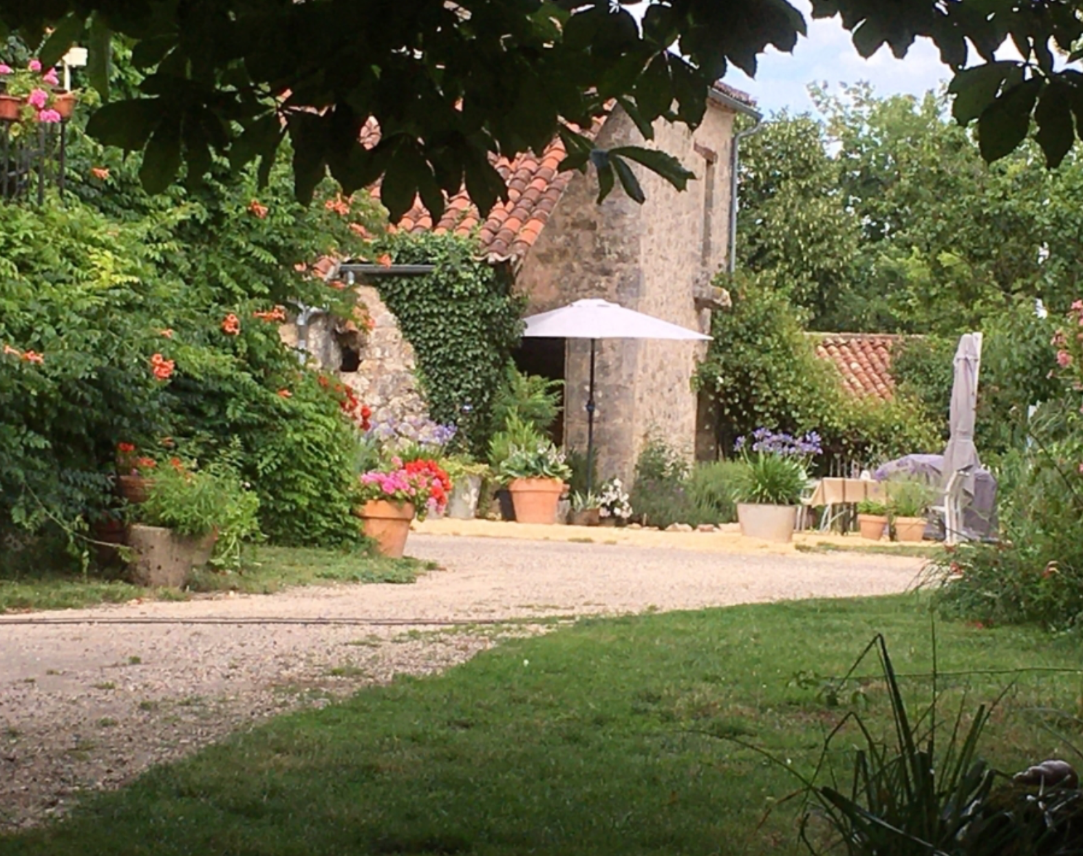 The Detailed Leaf Print: A Botanical Printing and Natural Dye Residency in Rural France