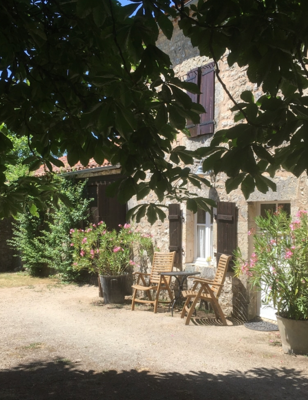 The Detailed Leaf Print: A Botanical Printing and Natural Dye Residency in Rural France