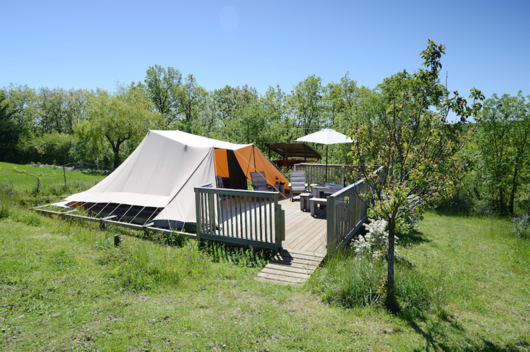 The Detailed Leaf Print: A Botanical Printing and Natural Dye Residency in Rural France