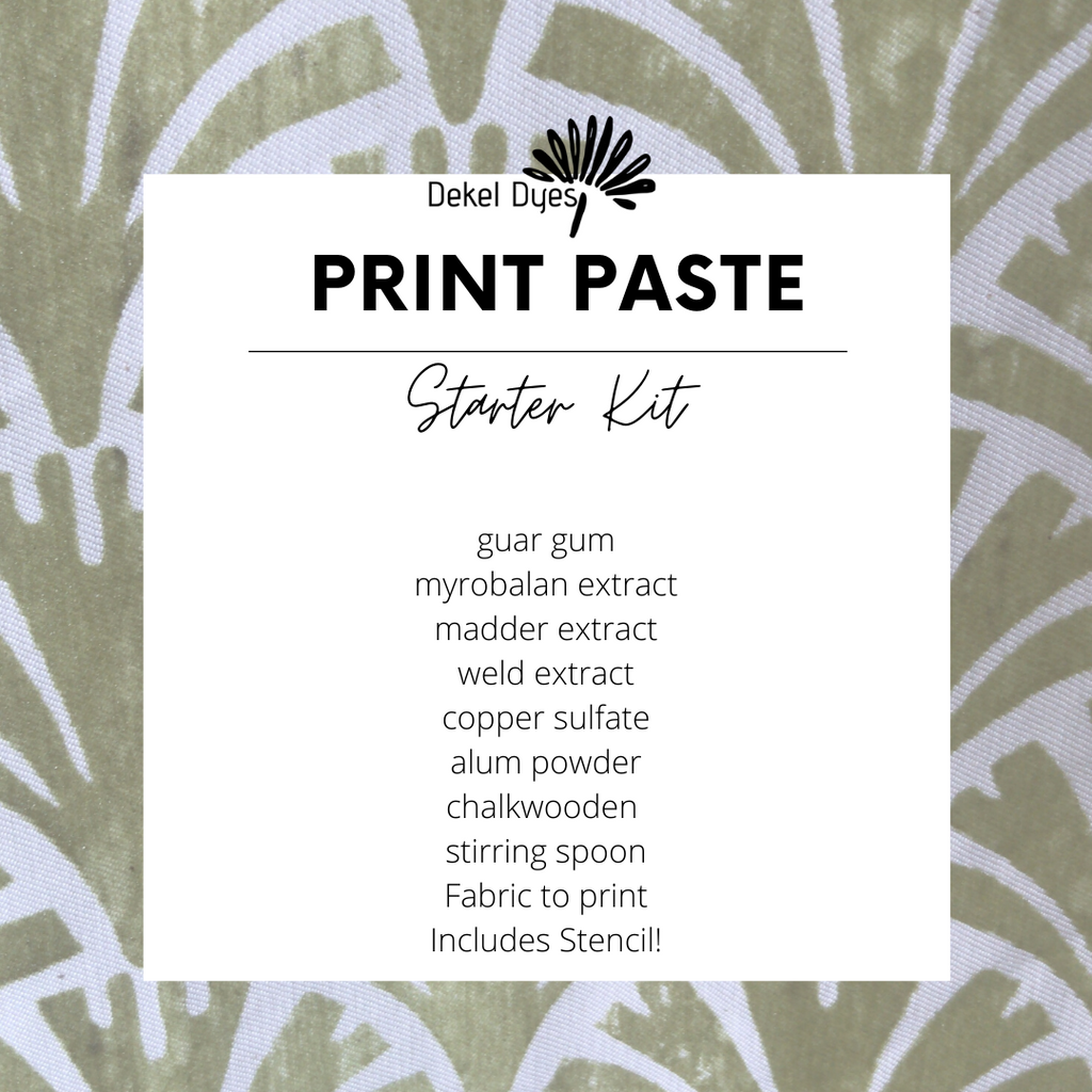 The Natural Dye Store Print Paste Starter Kit with ingredients listed on a patterned background