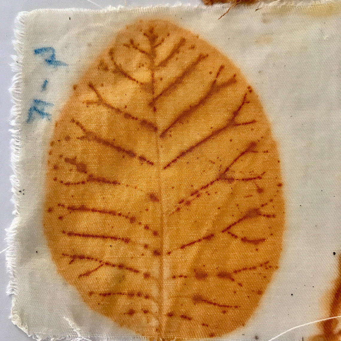 Brown leaf imprint on a white fabric background