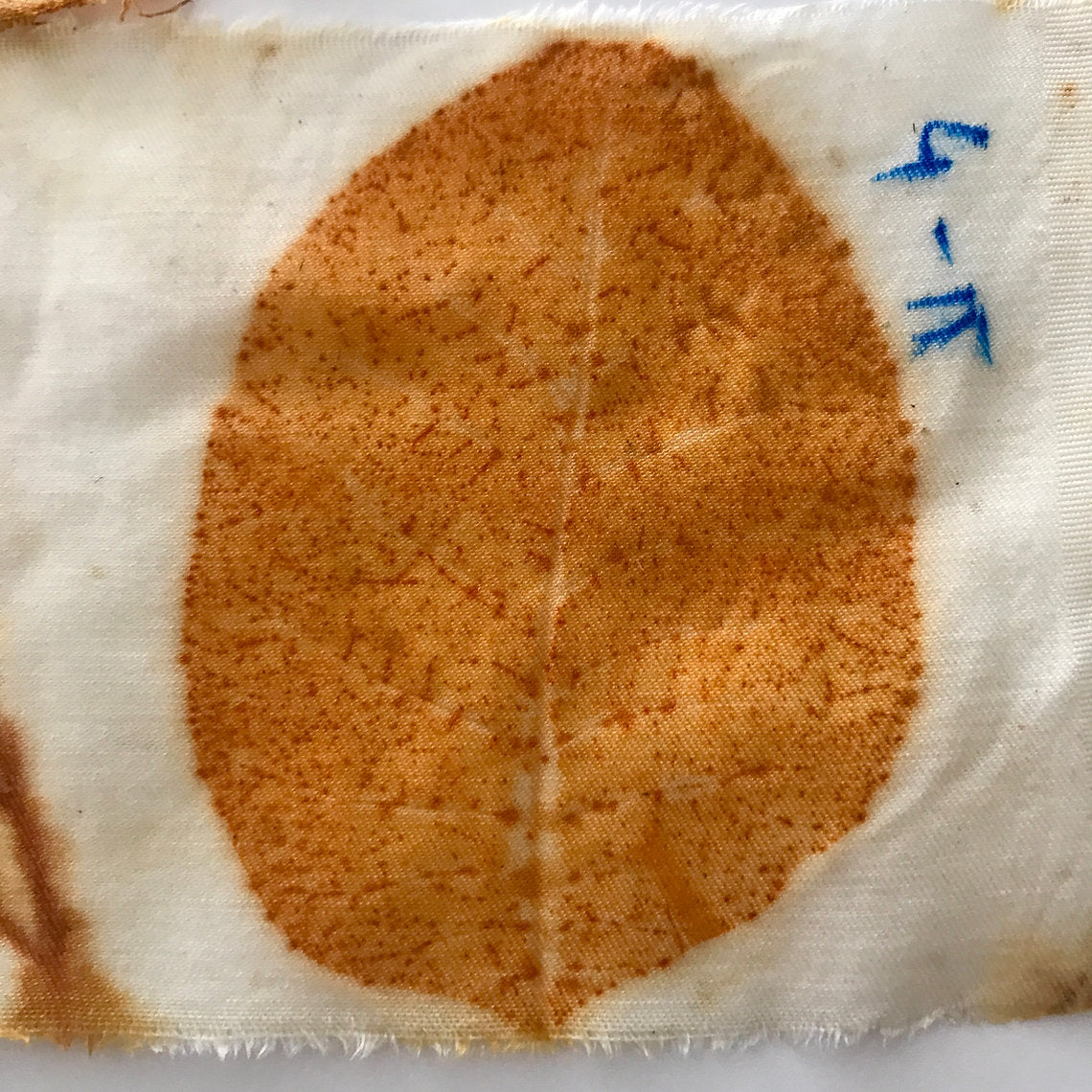 Brown circular stain on white fabric with a blue label