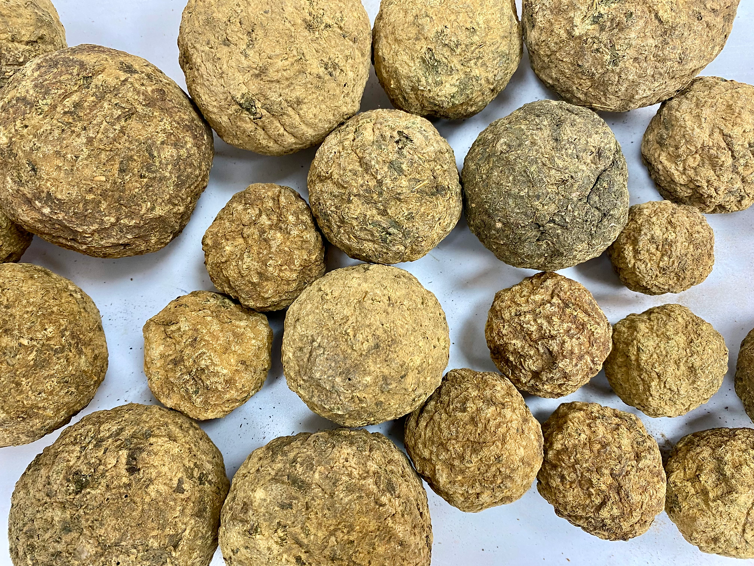 Close-up of round, brown wood bolls pellets on a white background