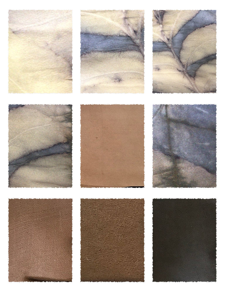 Acacia Extract (Acacia mearnsii) fabric samples