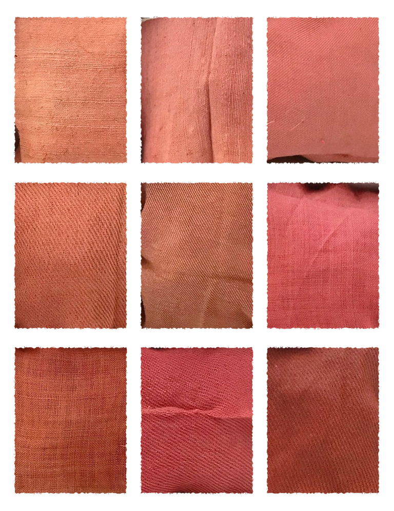 Alder Buckthorn Bark (Rhamnus frangula) fabric samples