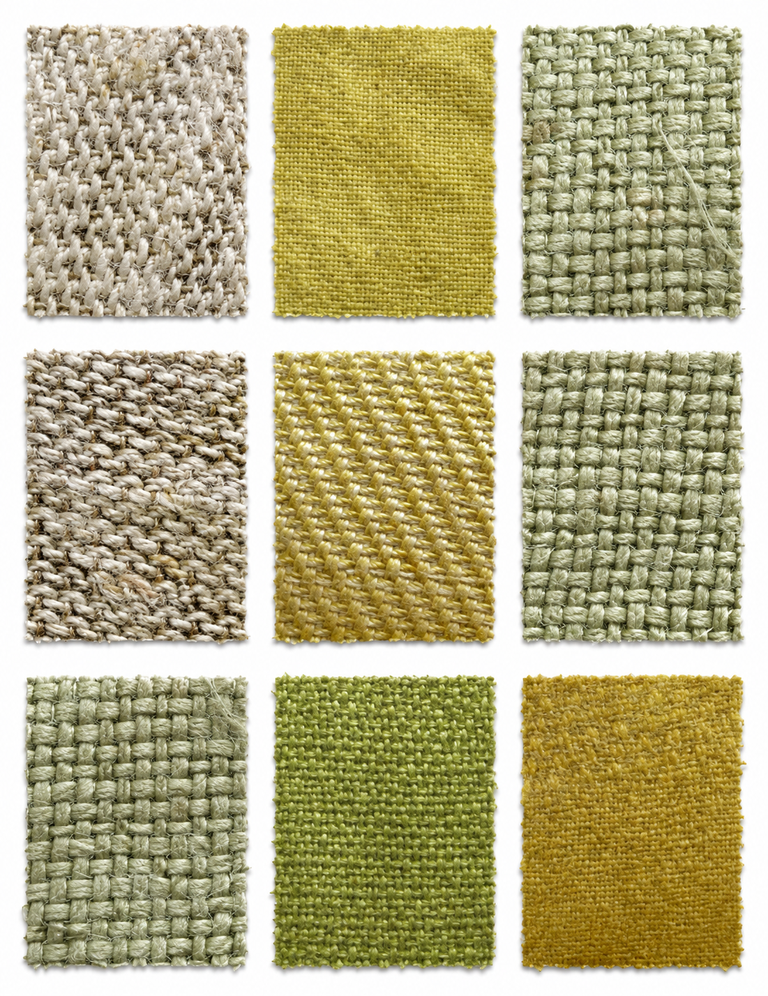 Barberry Root Bark cut (Berberis spp) fabric samples