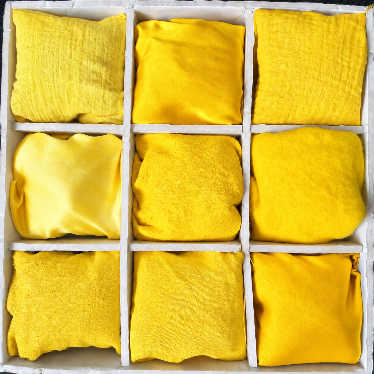 Bright Onion Peel Extract (Allium Cepa)