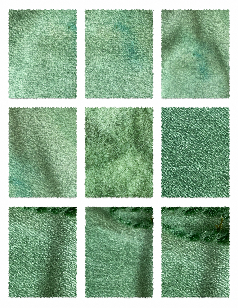 Chlorophyllin Mulberry Green Extract (Morus alba) fabric samples