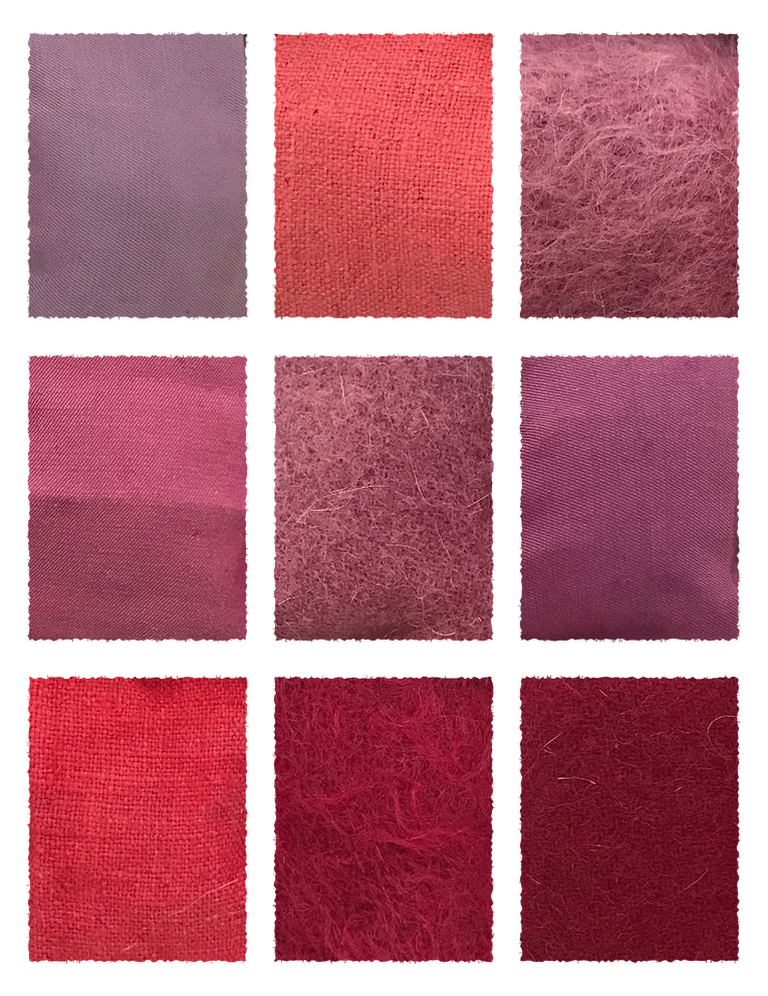 Cochineal Extract 50 Percent (Dactylopius coccus) fabric samples