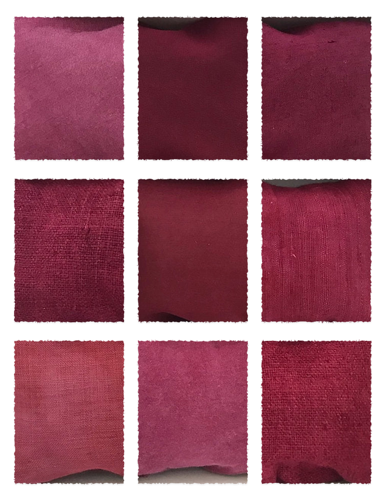 Lac Extract Extra Red (Laccifer lacca) fabric samples