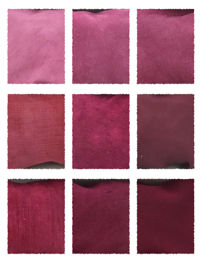 Lac Extract (Laccifer lacca) fabric samples